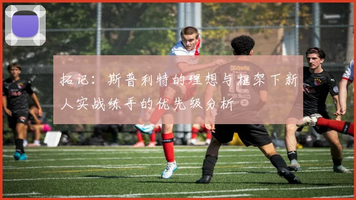 拓记：斯普利特的理想与框架下新人实战练手的优先级分析