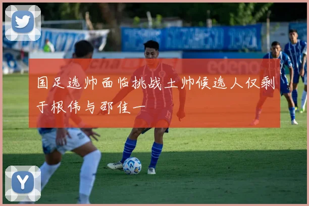 国足选帅面临挑战土帅候选人仅剩于根伟与邵佳一
