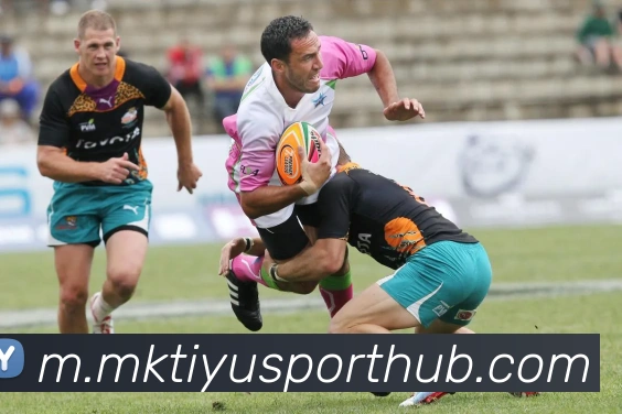 MK体育APP 封面图